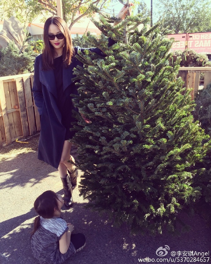 李安琪带着奥莉挑选圣诞树